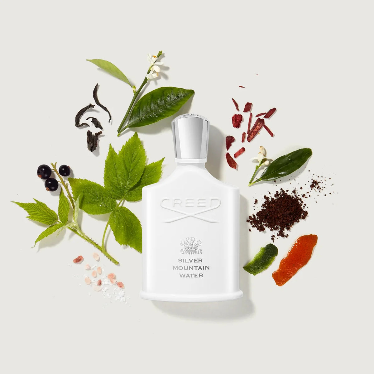 Silver Mountain Water Eau de Parfum